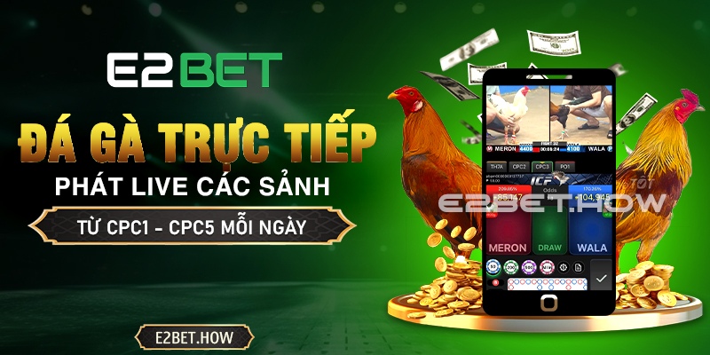 Đá gà trực tiếp uy tín E2BET