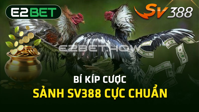 Bí kíp cược sảnh SV388 cực chuẩn