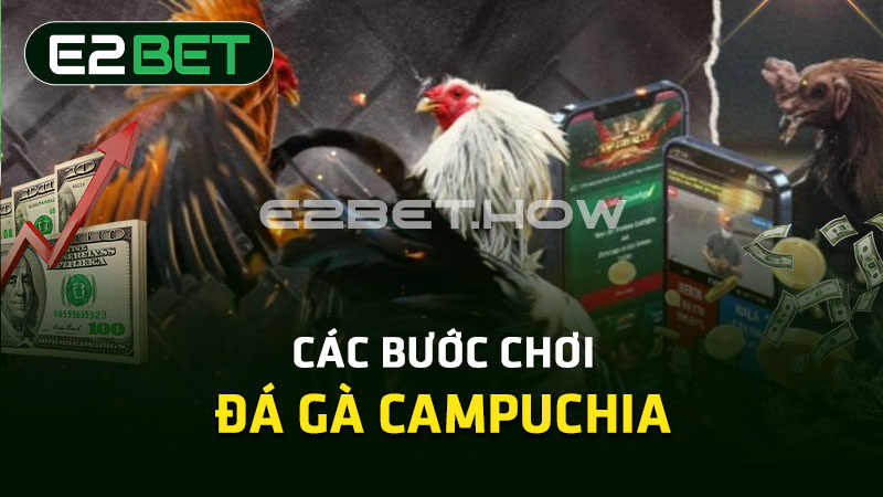 Các bước chơi đá gà Campuchia