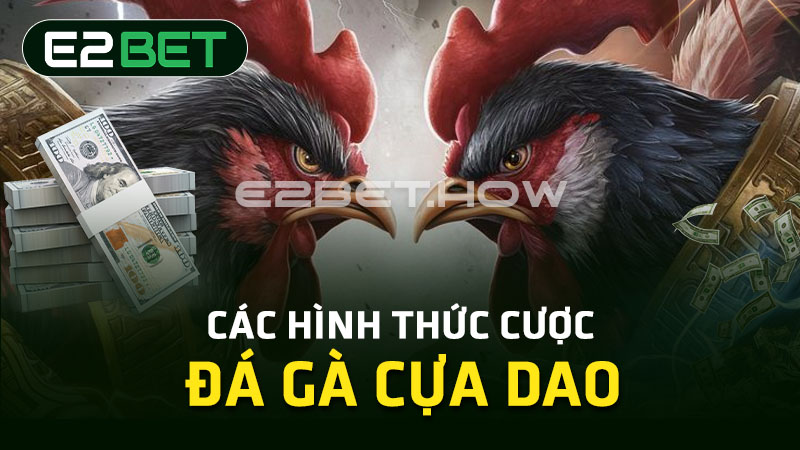 Các hình thức cược đá gà cựa dao 