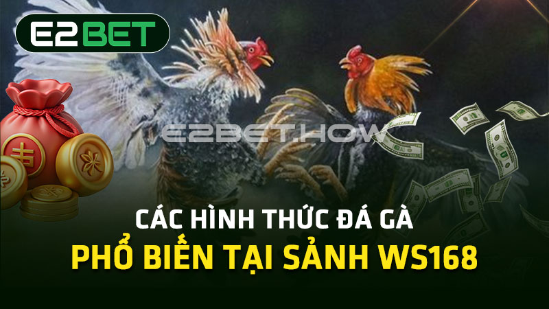 Các hình thức đá gà phổ biến tại sảnh WS168