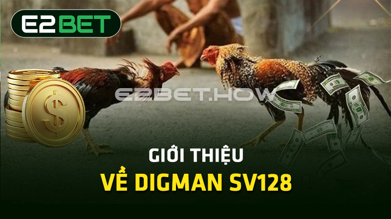 Giới thiệu về Digman SV128