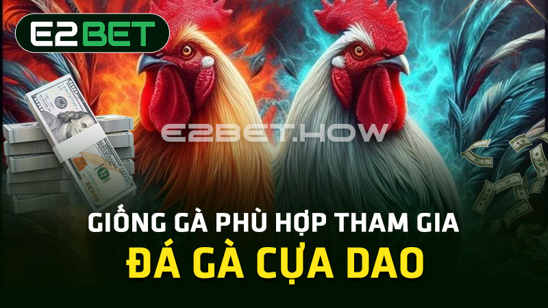 Giống gà phù hợp tham gia đá gà cựa dao