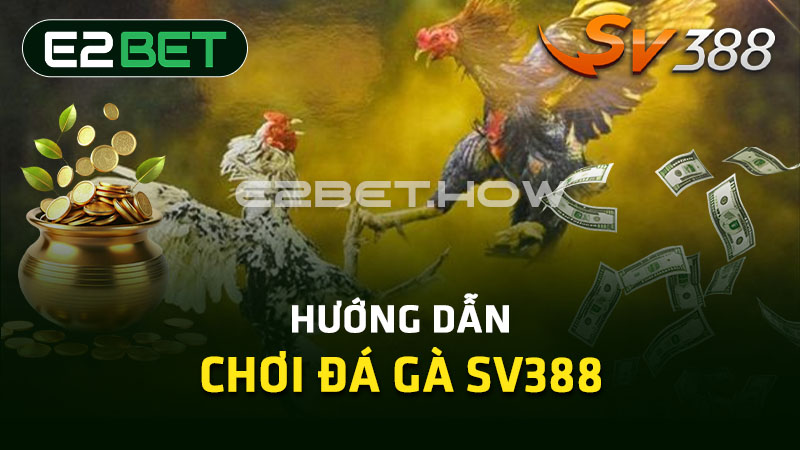 Hướng dẫn chơi đá gà SV388 