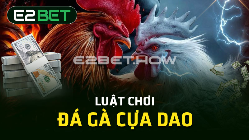 Luật chơi đá gà cựa dao