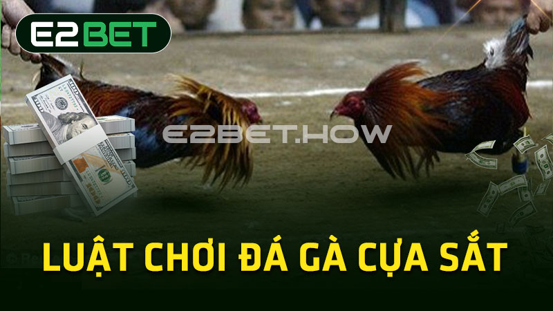 Luật chơi đá gà cựa sắt