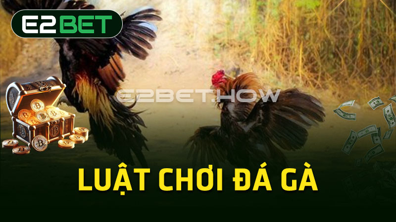 Luật chơi đá gà