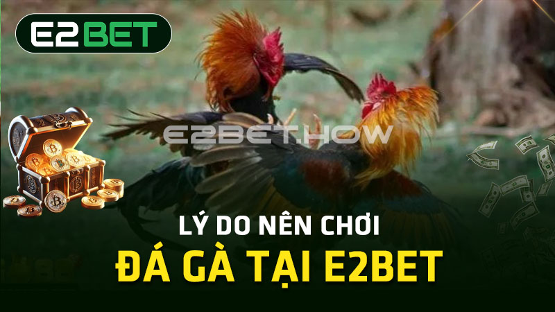 Lý do nên chơi đá gà tại E2BET