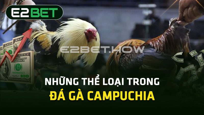 Những thể loại trong đá gà Campuchia