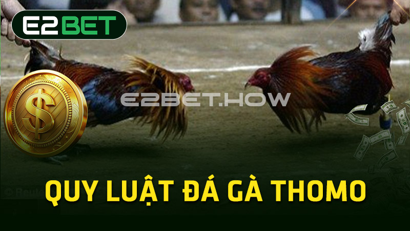 Quy luật đá gà Thomo