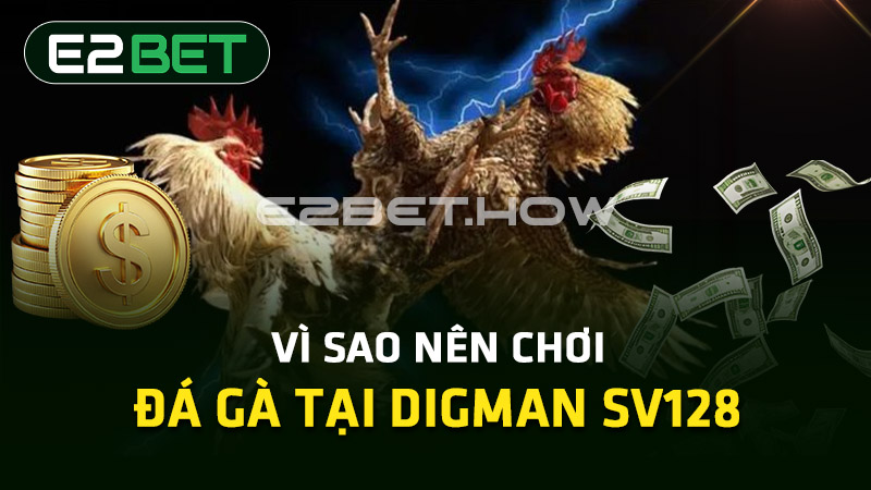 Vì sao nên chơi đá gà tại Digman SV128