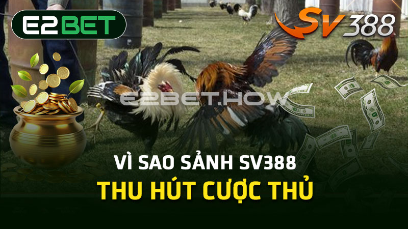 Vì sao sảnh SV388 thu hút cược thủ